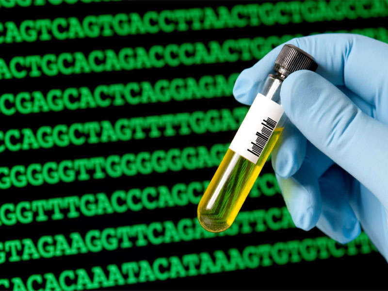 DNA code analysis